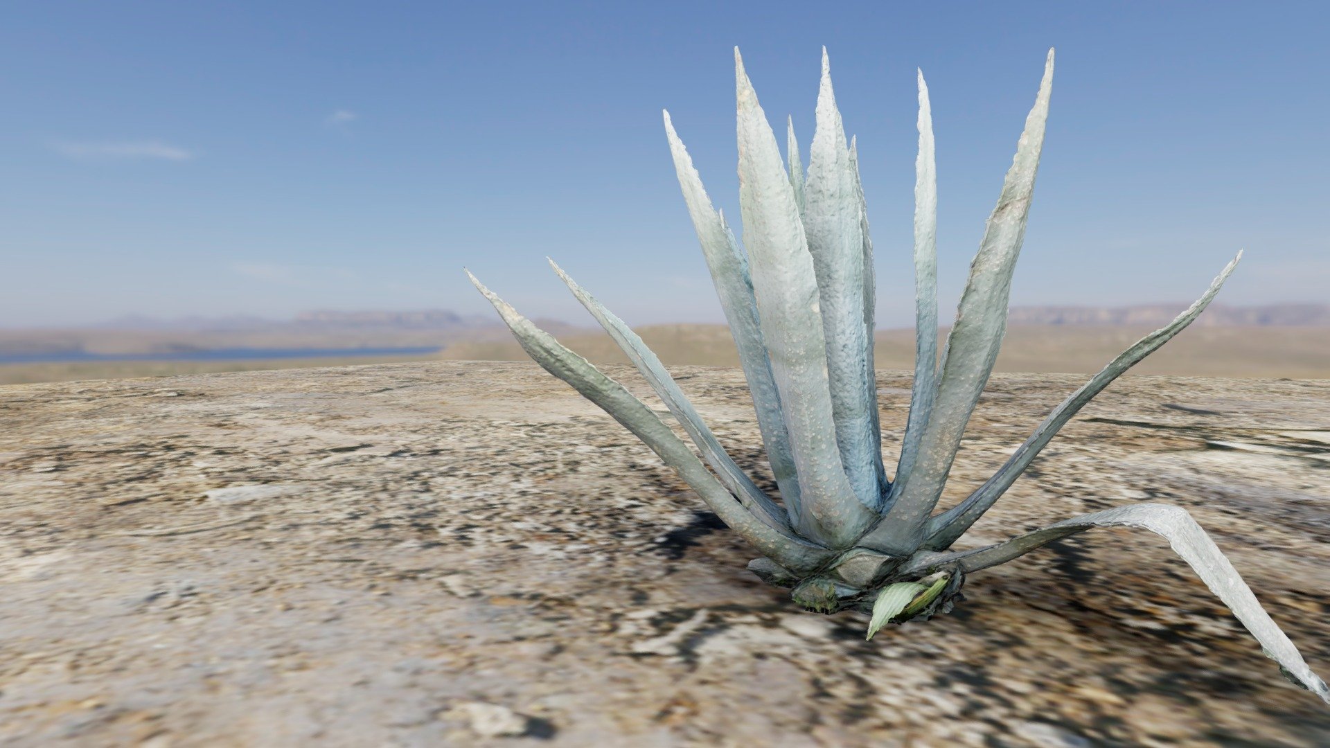 N031 Aloe Vera_Free version