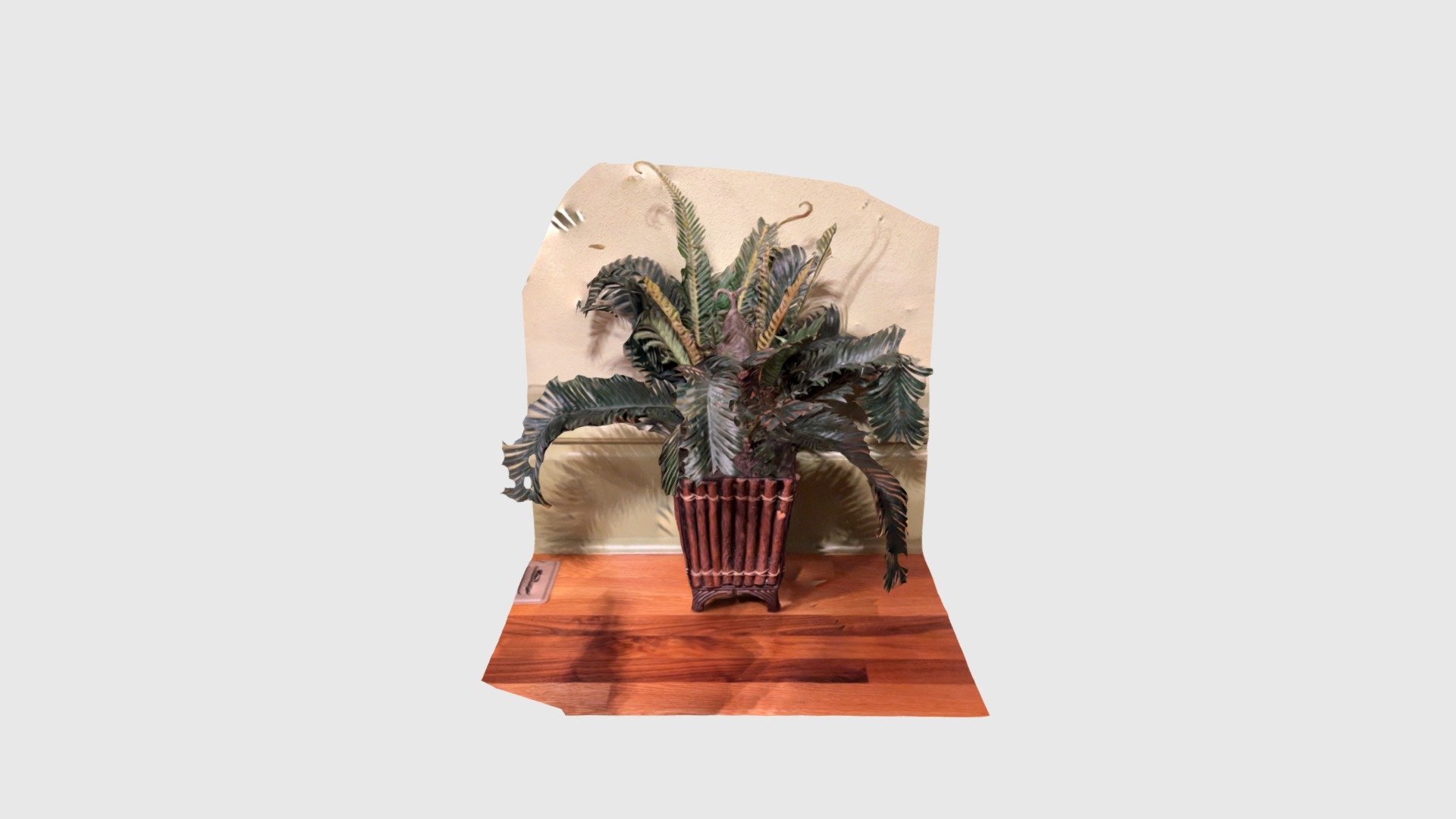 Decor, plant