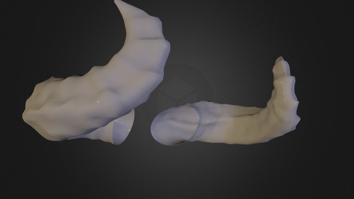 Horns - High Poly 3D Model