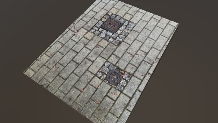Scan of a couple of Utilities in a Sidewalk 3D Model