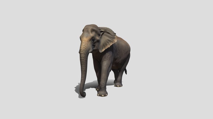 Silent Giant Elephant – Modelo 3D gratuito STL