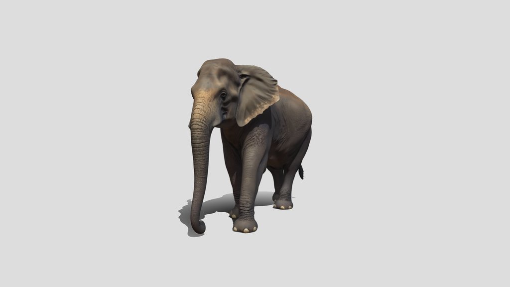 Silent Giant Elephant