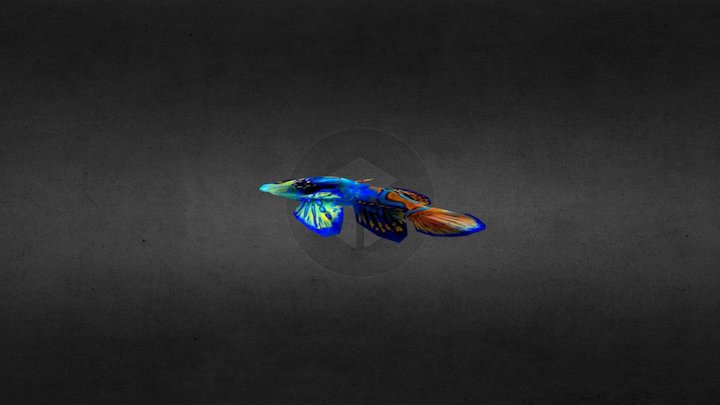 peixinho 3D Model