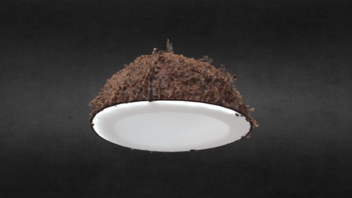 coconut Half _ANIL – Gratis 3D-model STL