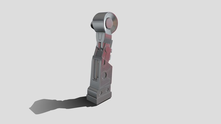 Foot 3D Model