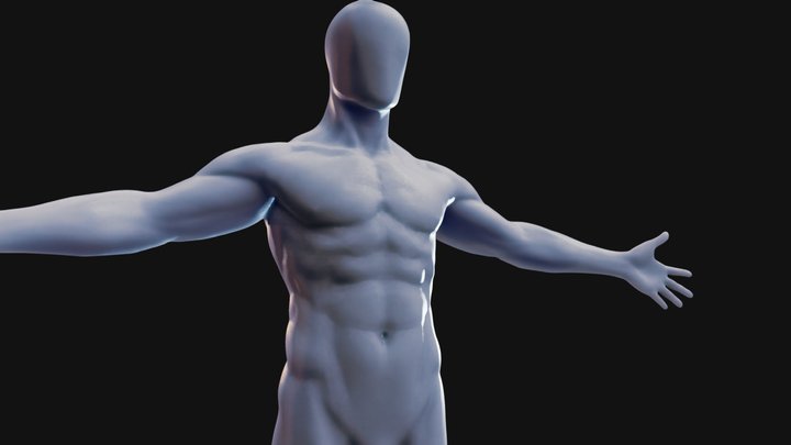 Male Base Body 3D Model