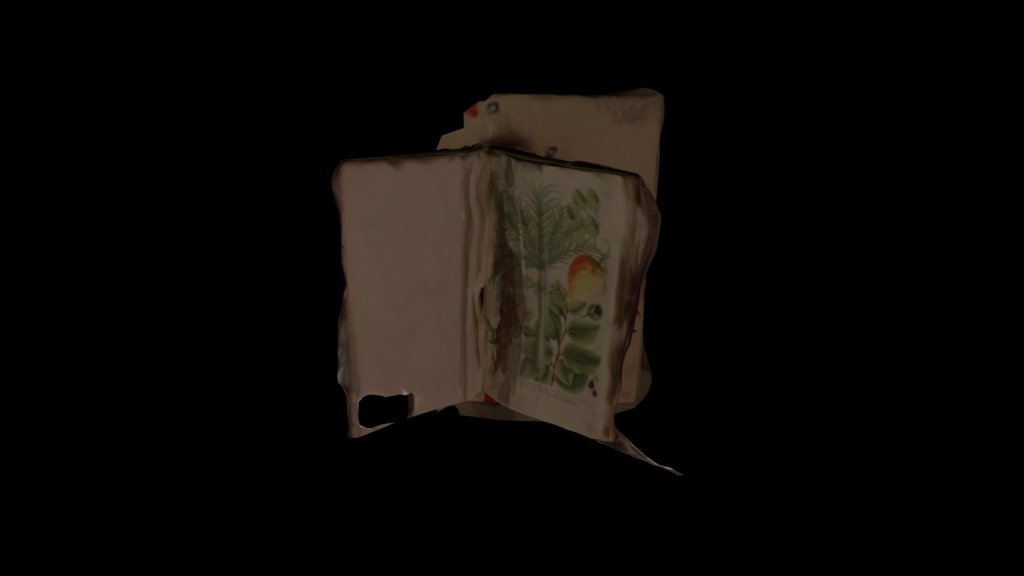 RO 013: Over de Planten [rare book]