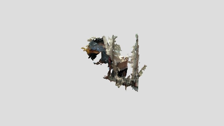 upload_scan 3D Model