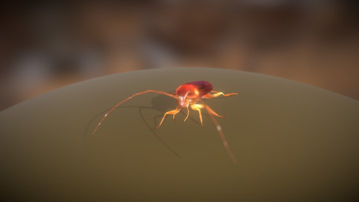 cockroach animated 3D Model