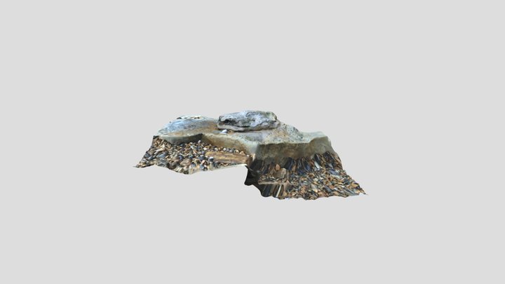 Iguanodon Footprint - Hastings, UK 3D Model