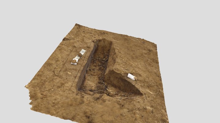 coupe 3D Model