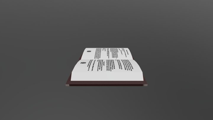 Open Book 3D Model