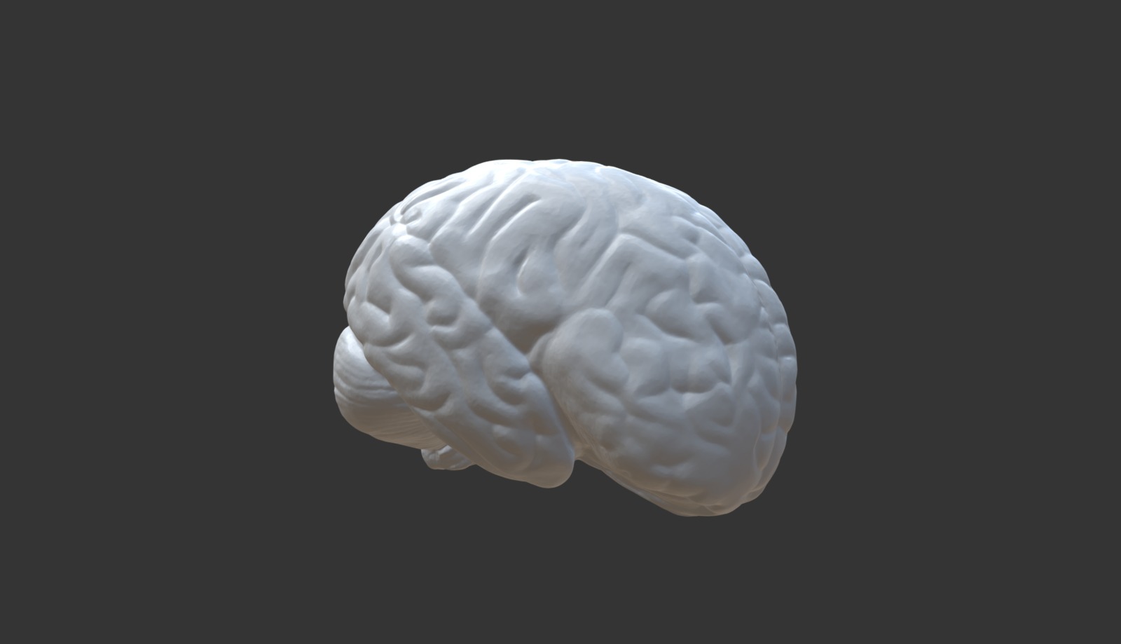 brain-model-download-free-3d-model-by-weareprintlab-7cf7089-sketchfab