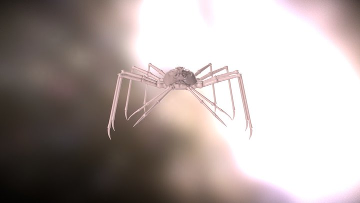 Spidercrab 3D Model