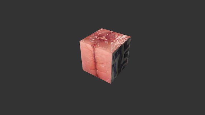 Texturing Exercise Box Mackerel 3D Model