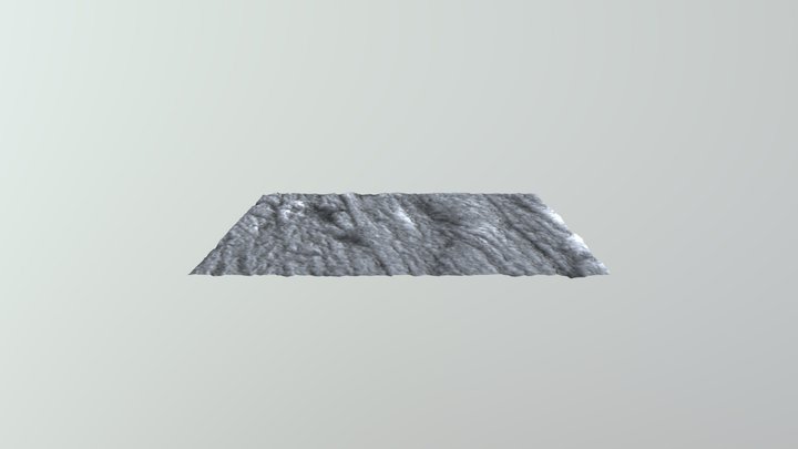 Morganucodon 3D Model