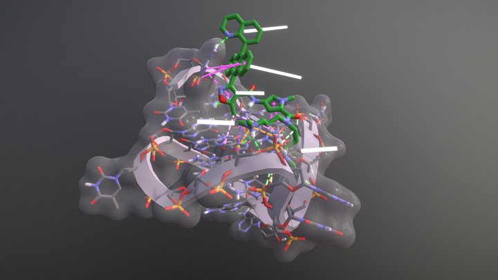 Quin-AIM bound to the c-Myc G-quadruplex 3D Model