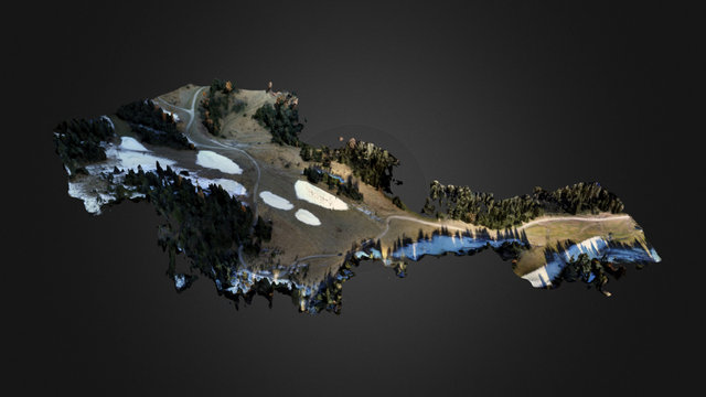 Rilievo pista sci (Selva Gardena - Bolzano) 3D Model