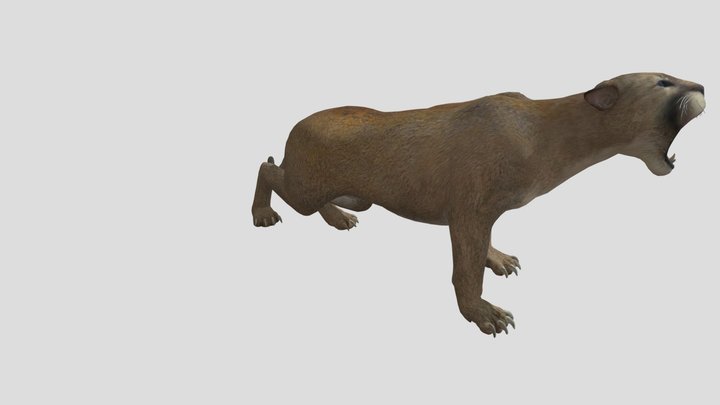 CAT THAT ROARS 3D Model