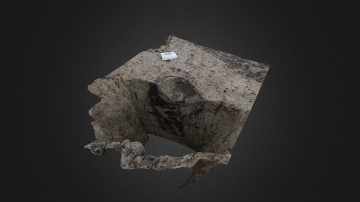 N23 Bronstijd paalkuil met hondenpoot (HD) 3D Model
