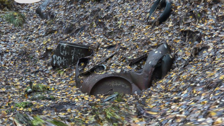 Old abandoned rusted decayed car in forest 3D Model