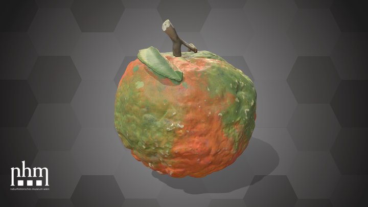 Orange (NHMW-AFW-DING-0046-007) – Kostenloses 3D-Modell STL