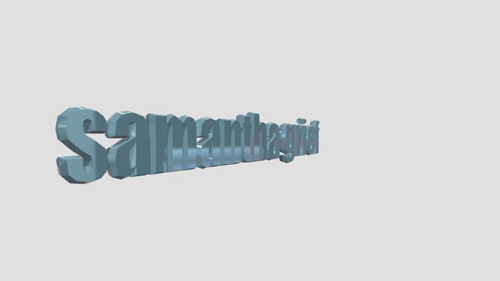 Signature 3D Model