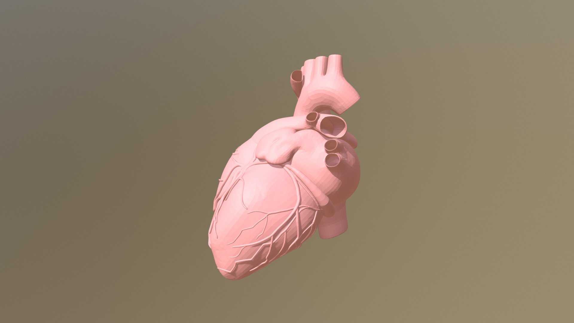 Heart - 3D model by tom-s (@thom.schell) [7d1cb63] - Sketchfab