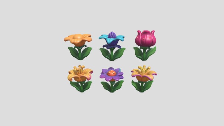 Beauty Flower Warrior Asset