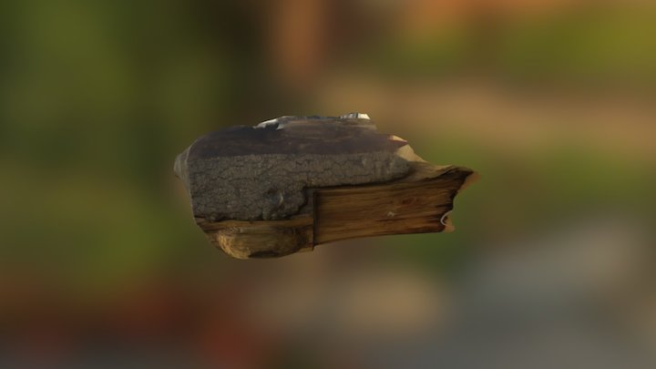 Log 3D Model