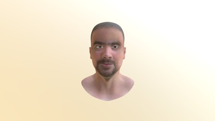 Human- Head- Blender- File-1d 3D Model