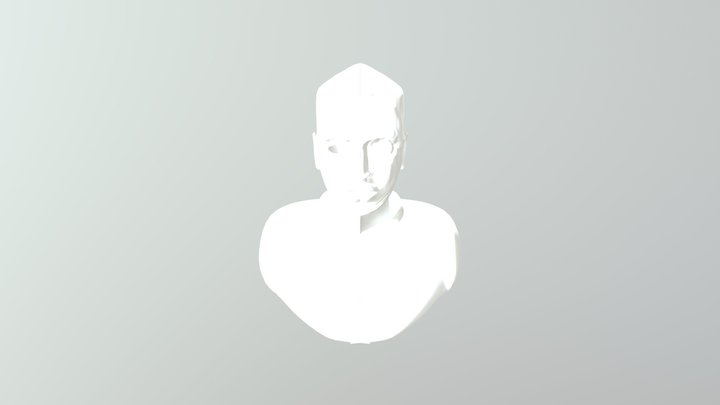 Busto de una persona 3D Model