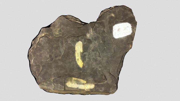 Rock 25 3D Model