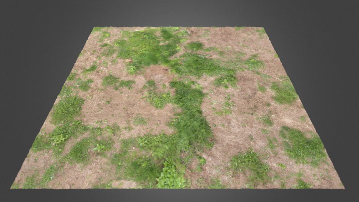 Grass Ground VI 3D Model