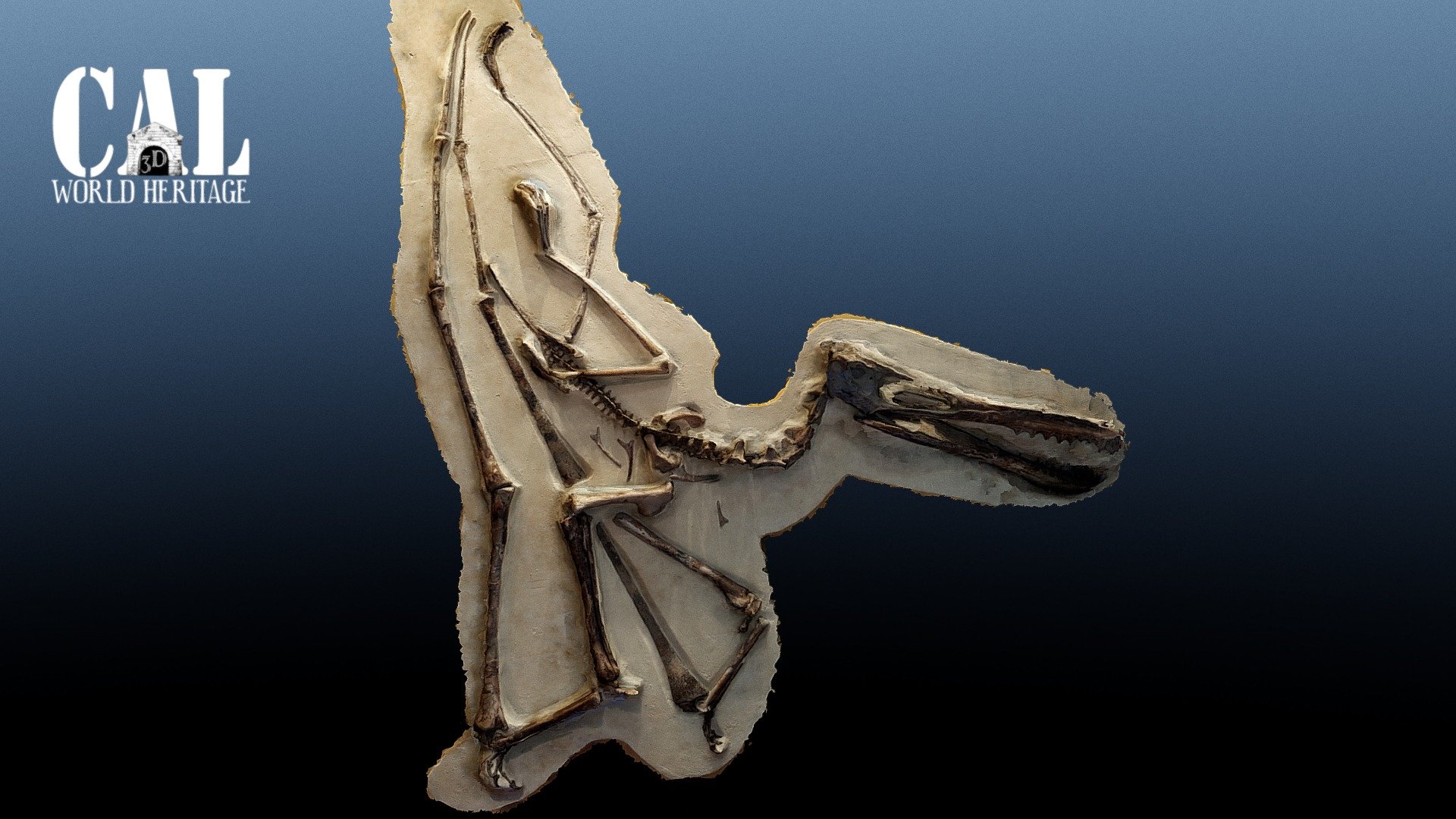 Pterosauro - Cosmocaixa