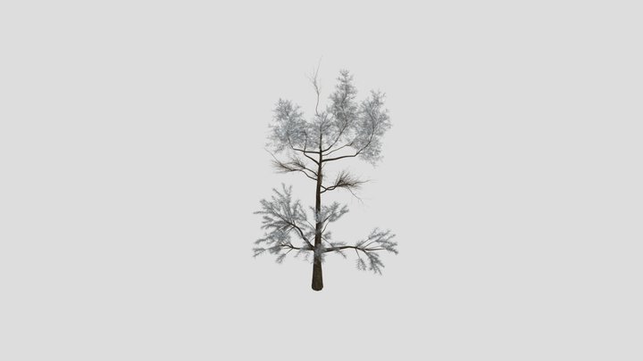 Sj Lonely Trail Pine Tree – Modelo 3D gratuito STL