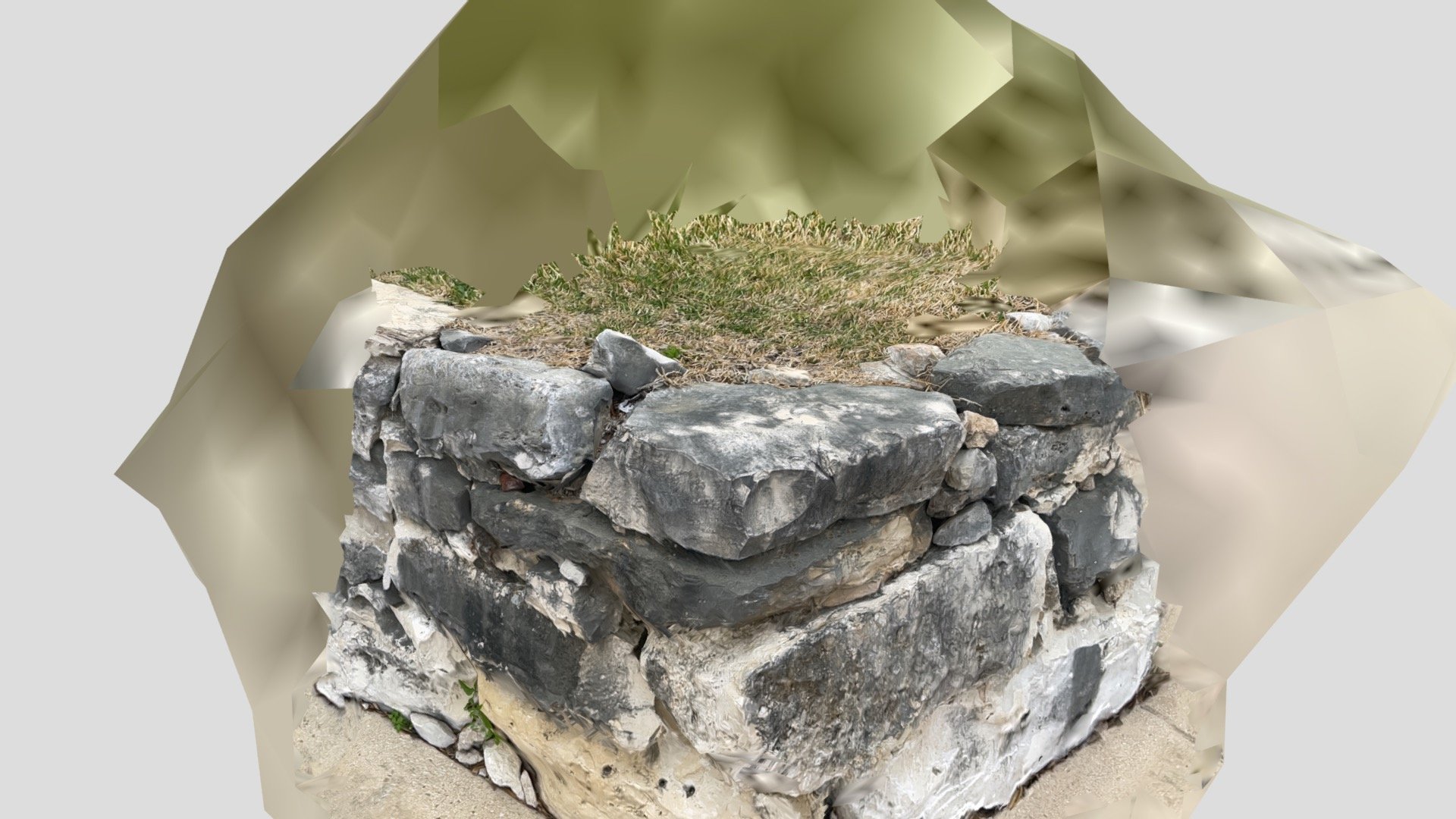 Neighbor's rock formation