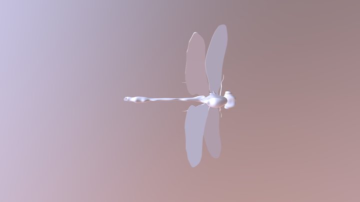 טויטו יכל חרק מצוי כיתה 3D Model