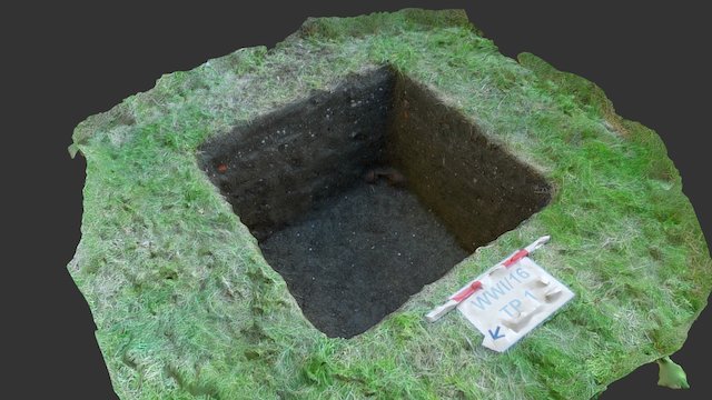 Dig 3: Test Pit 1 3D Model