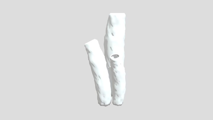 Sea Sponge 3D Model