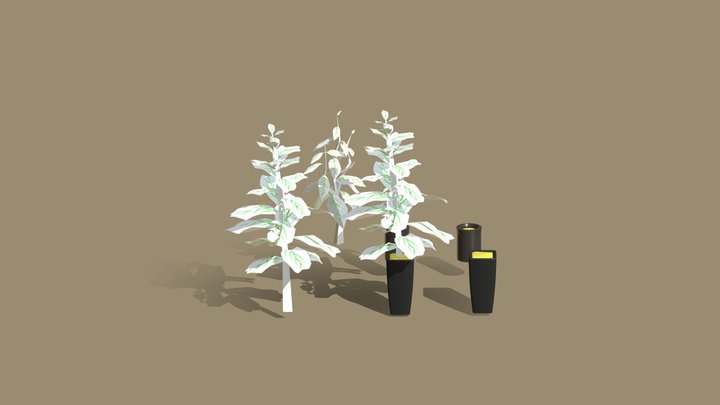 Low-Poly small plants and porch set 3D Model
