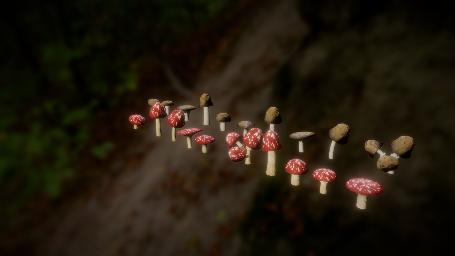 Toad Stools And Mushrooms