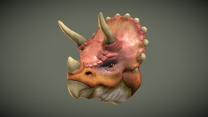 Triceratops Head 3D Model