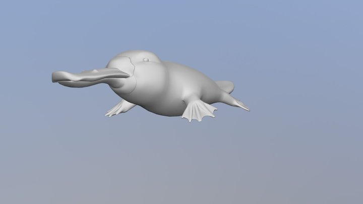 Platypus Model 3D Model