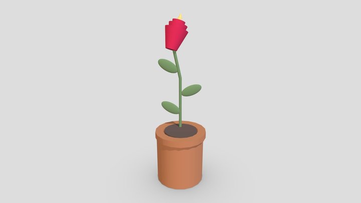 Logan: House Plant 3D Model
