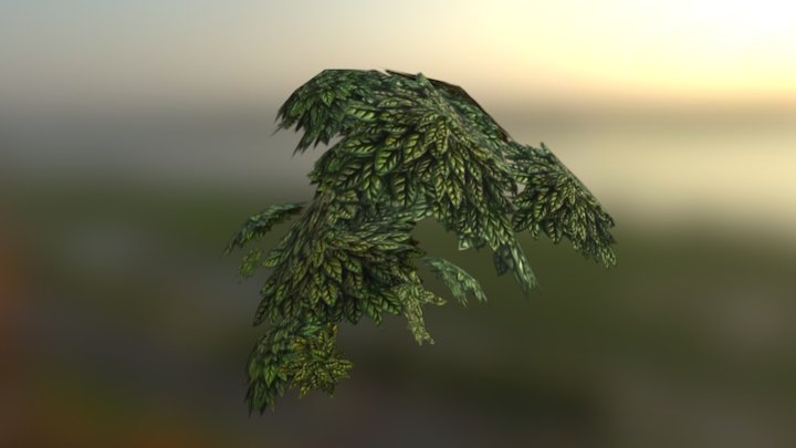 leaves testing 3D Model