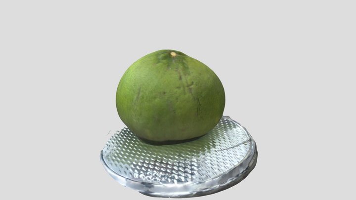 ส้มโอเทส 3D Model