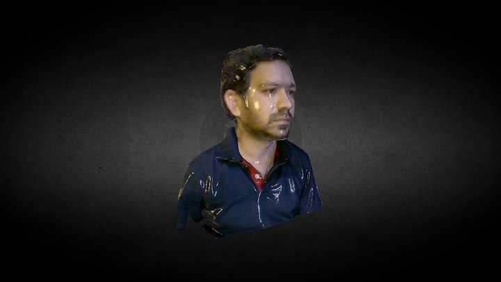 3d Scan by Printmein3d 3D Model