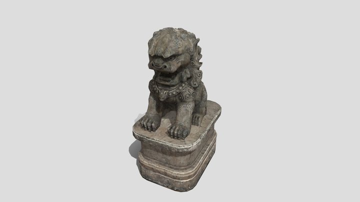 Lion Coat 3D Model