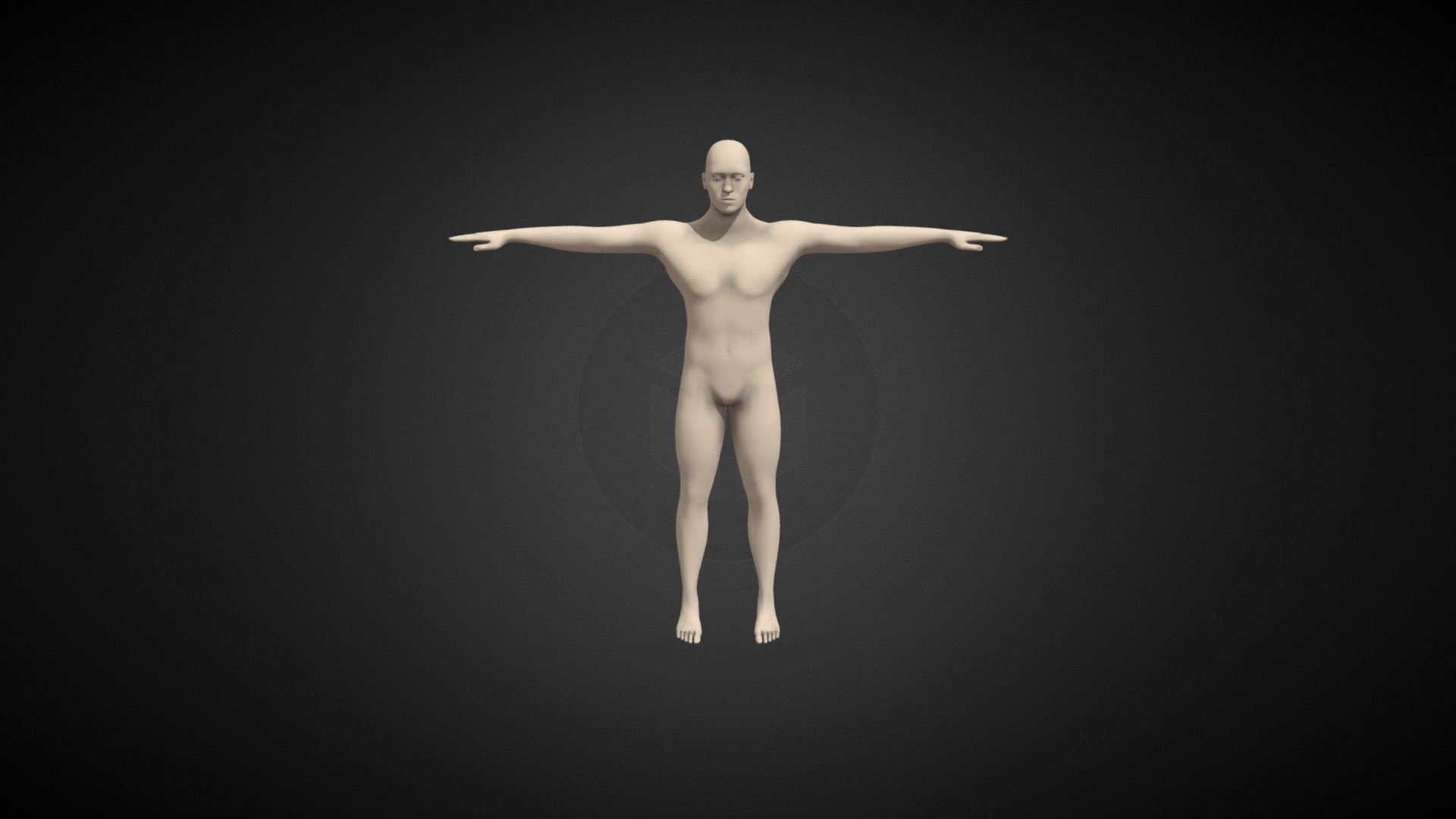 3d model human